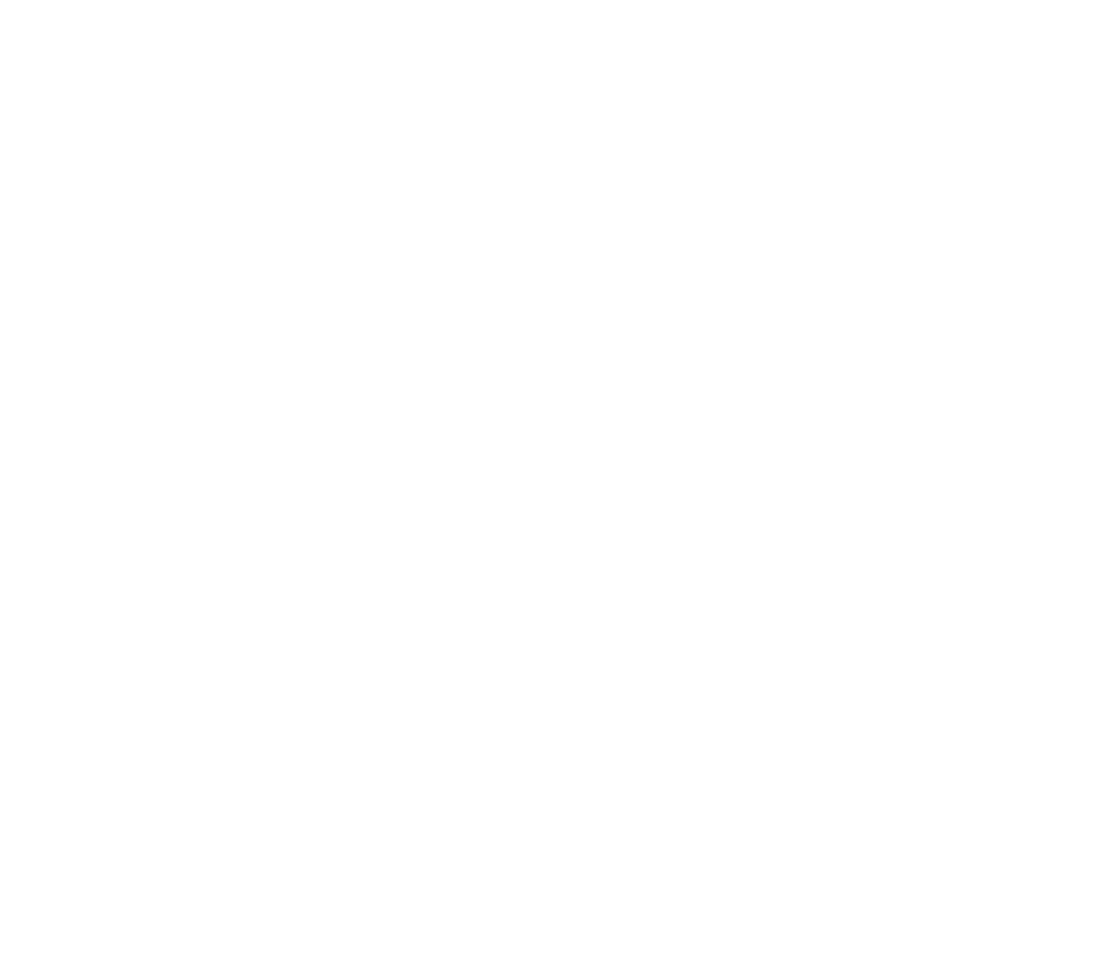 Brain